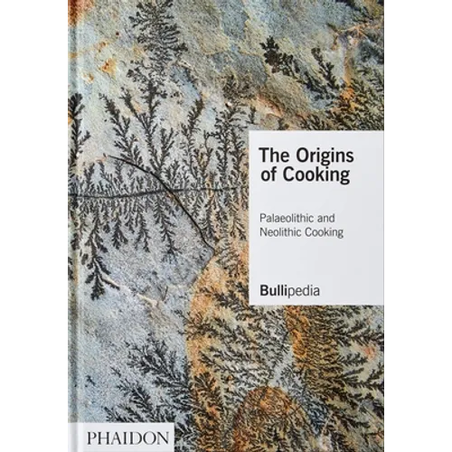 The Origins of Cooking: Palaeolithic and Neolithic Cooking - Hardcover