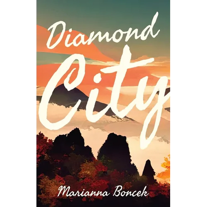 Diamond City - Paperback