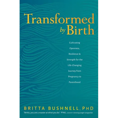 Transformed by Birth: Cultivating Openness, Resilience, and Strength for the Life-Changing Journey from Pregnancy to Parenthood - Paperback