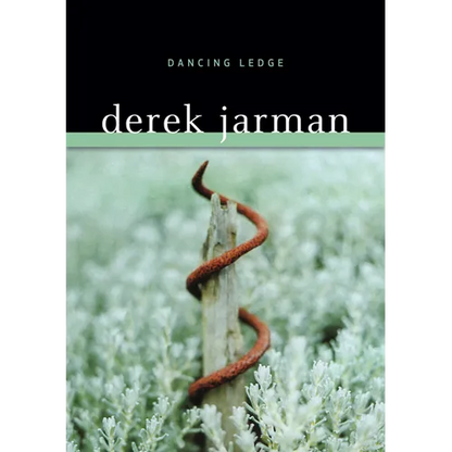 Dancing Ledge - Paperback