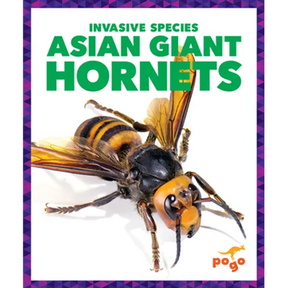 Asian Giant Hornets - Library Binding