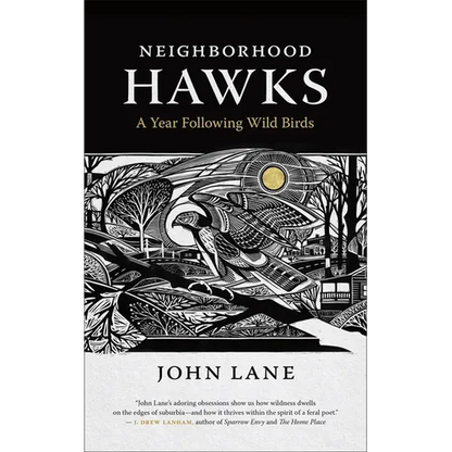 Neighborhood Hawks: A Year Following Wild Birds - Paperback