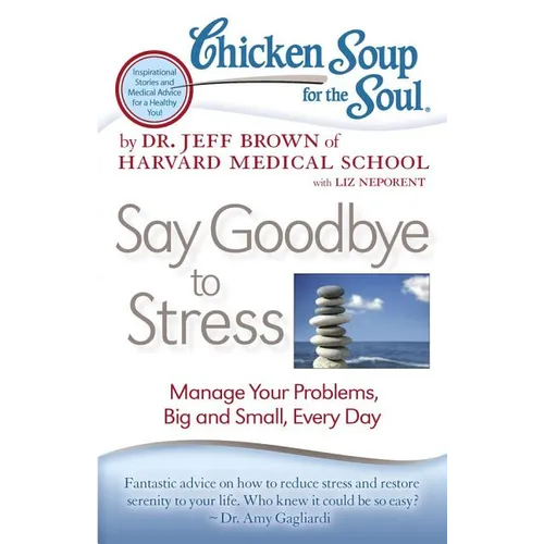 Chicken Soup for the Soul: Say Goodbye to Stress: Manage Your Problems, Big and Small, Every Day - Paperback