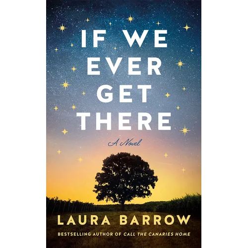 If We Ever Get There - Paperback