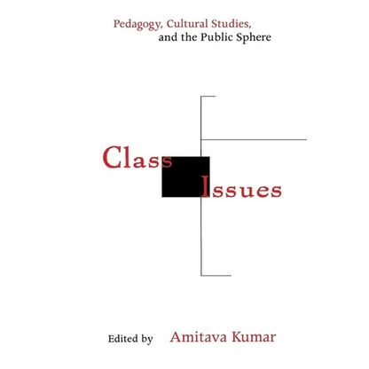 Class Issues: Pedagogy, Cultural Studies, and the Public Sphere - Paperback