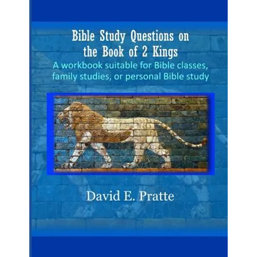Bible Study Questions on the Book of 2 Kings: A workbook suitable for Bible classes, family studies, or personal Bible study - Paperback