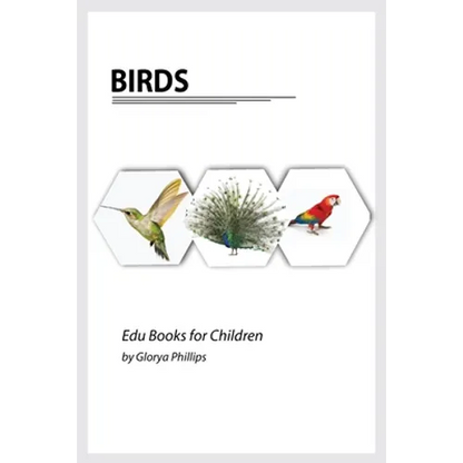 Birds: Montessori real birds book, bits of intelligence for baby and toddler, children's book, learning resources. - Paperback