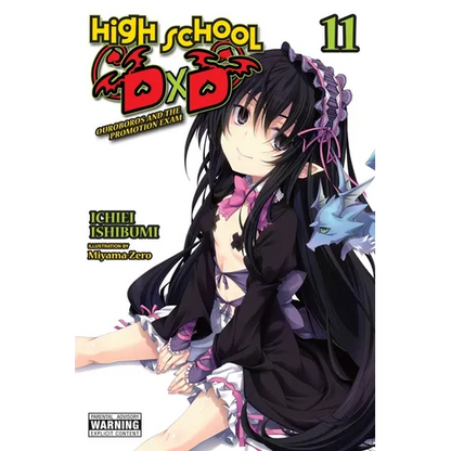 High School DXD, Vol. 11 (Light Novel): Ouroboros and the Promotion Exam - Paperback