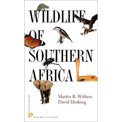 Wildlife of Southern Africa - Paperback