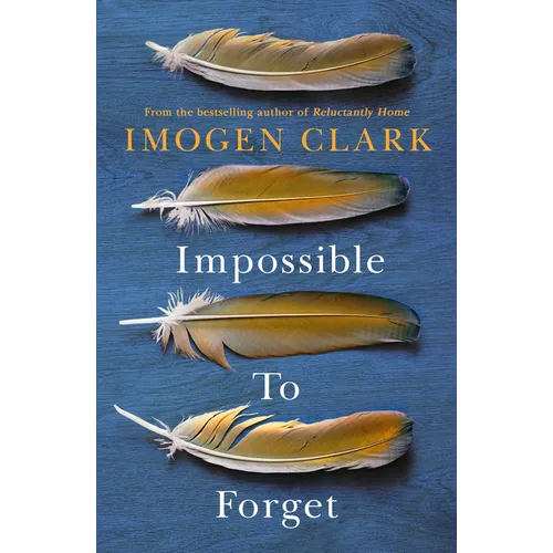 Impossible to Forget - Paperback