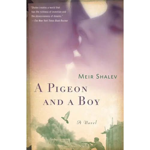 A Pigeon and a Boy - Paperback