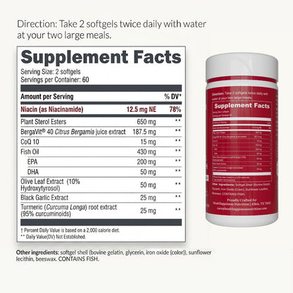 Cardiovascular Protocol