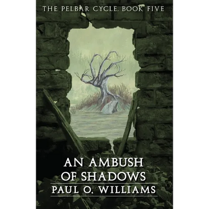An Ambush of Shadows - Paperback