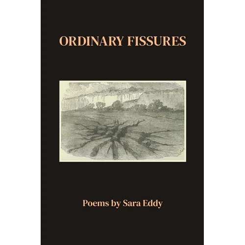 Ordinary Fissures - Paperback