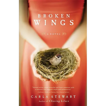Broken Wings - Paperback