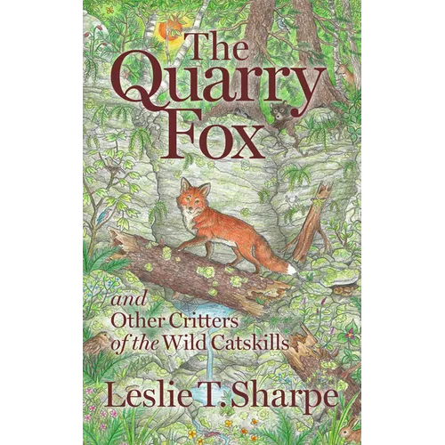 The Quarry Fox: And Other Critters of the Wild Catskills - Paperback