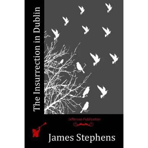 The Insurrection in Dublin - Paperback