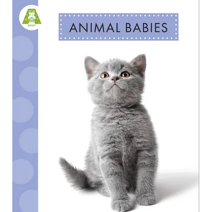Animal Babies - Hardcover