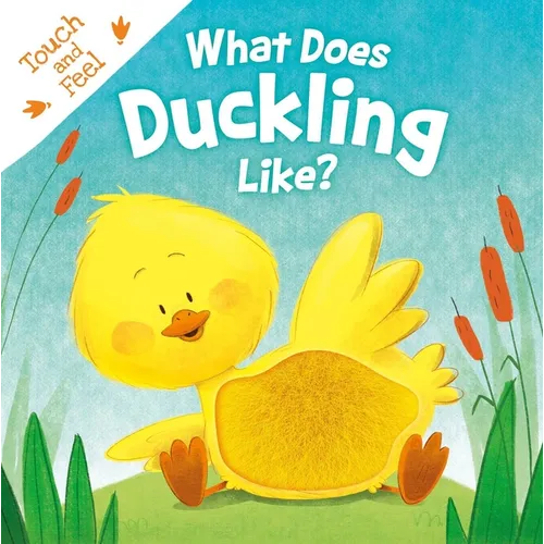 What Does Duckling Like?: Touch & Feel Board Book - Board Book