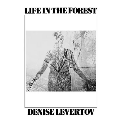Life in the Forest - Paperback