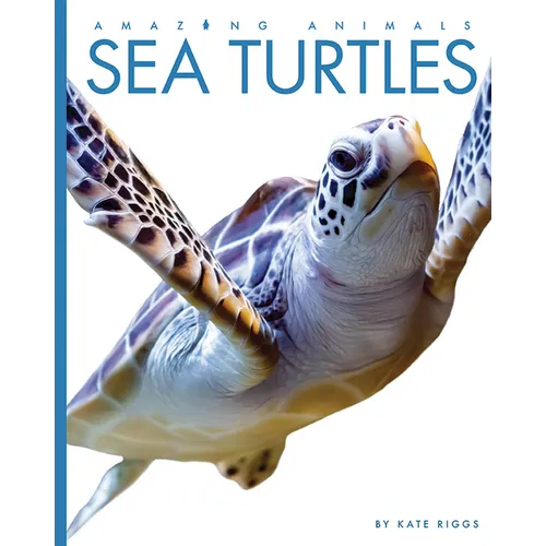 Sea Turtles - Paperback