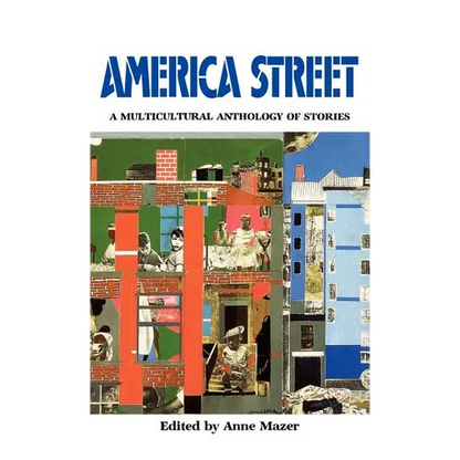 America Street: A Multicultural Anthology of Stamerica Street: A Multicultural Anthology of Stories - Hardcover