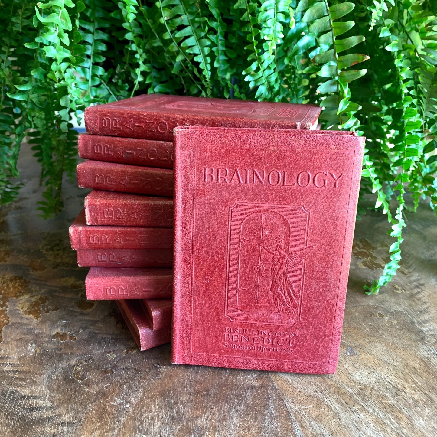 Brainology: Understanding, Developing and Training Your Brain - Elsie Lincoln Benedict - 1928