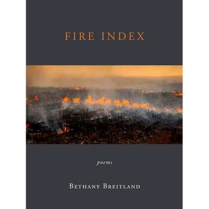 Fire Index: Poems - Paperback