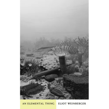 An Elemental Thing - Paperback