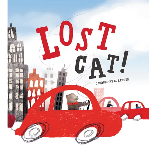 Lost Cat! - Hardcover