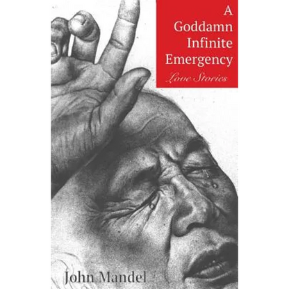 A Goddamn Infinite Emergency: Love Stories - Paperback
