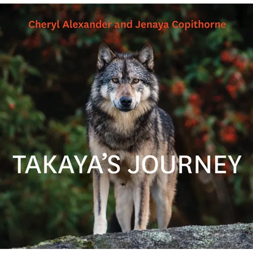 Takaya's Journey - Paperback