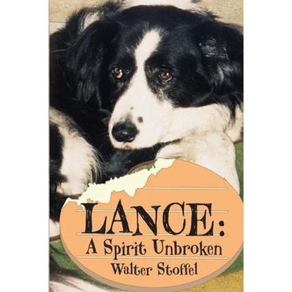 Lance: A Spirit Unbroken - Paperback