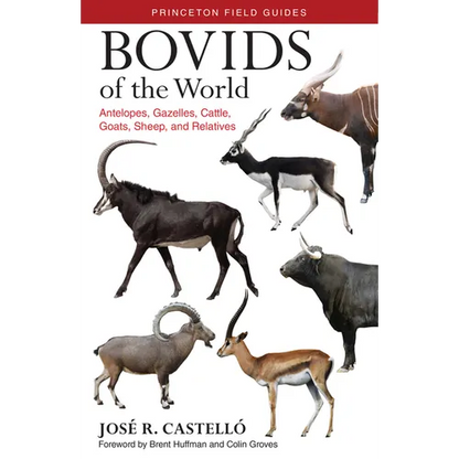 Bovids of the World: Antelopes, Gazelles, Cattle, Goats, Sheep, and Relatives - Paperback