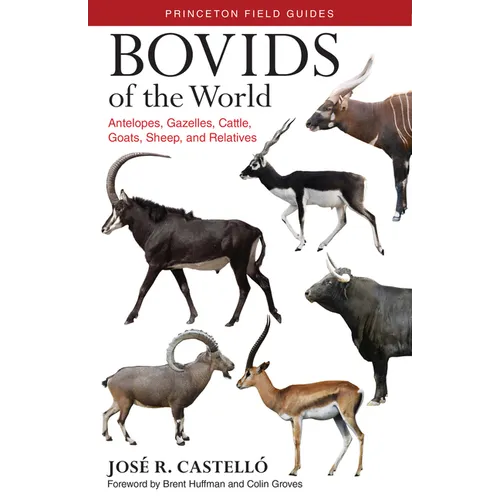 Bovids of the World: Antelopes, Gazelles, Cattle, Goats, Sheep, and Relatives - Paperback