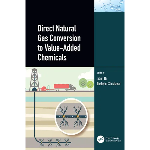 Direct Natural Gas Conversion to Value-Added Chemicals - Paperback