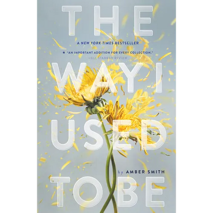 Way I Used to Be - Paperback