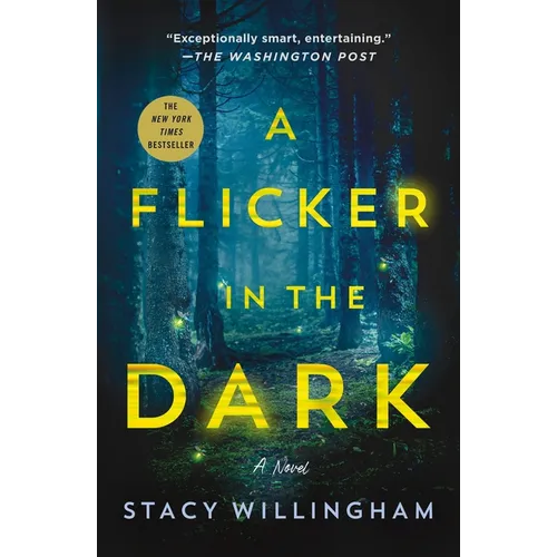 A Flicker in the Dark - Paperback