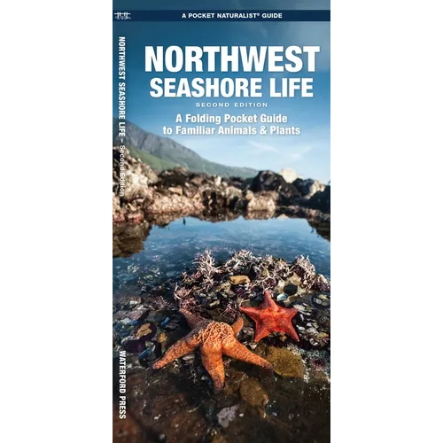 Northwest Seashore Life, 2nd Ed: A Folding Pocket Guide to Familiar Animals & Plants - Paperback