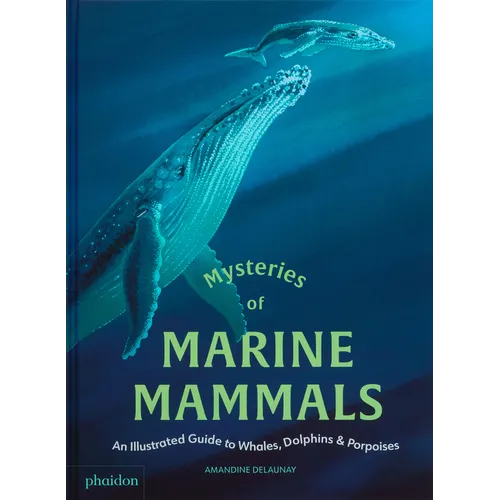 Mysteries of Marine Mammals: An Illustrated Guide to Whales, Dolphins, and Porpoises - Hardcover