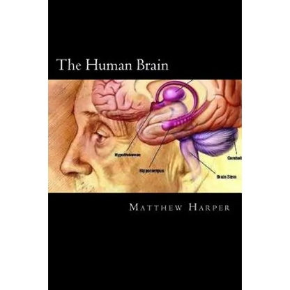 The Human Brain: A Fascinating Book Containing Human Brain Facts, Trivia, Images & Memory Recall Quiz: Suitable for Adults & Children - Paperback