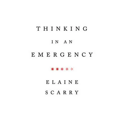 Thinking in an Emergency - Paperback