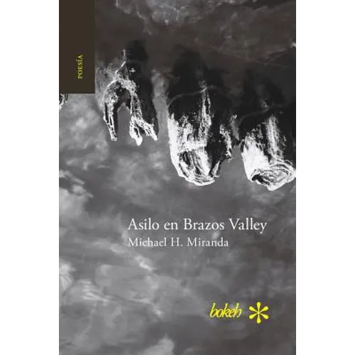 Asilo en Brazos Valley - Paperback