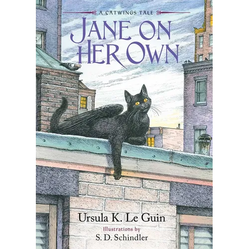 Jane on Her Own - Hardcover