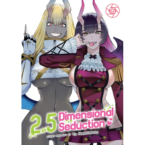 2.5 Dimensional Seduction Vol. 16 - Paperback