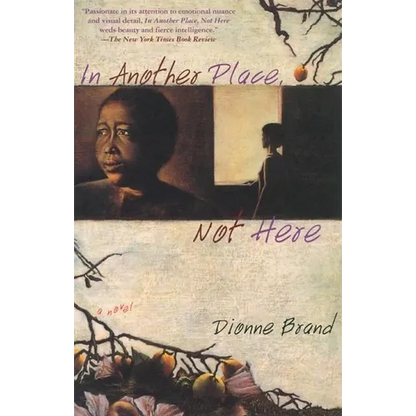 In Another Place, Not Here - Paperback