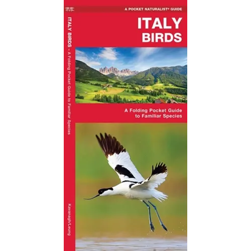 Italy Birds: A Folding Pocket Guide to Familiar Species - Paperback