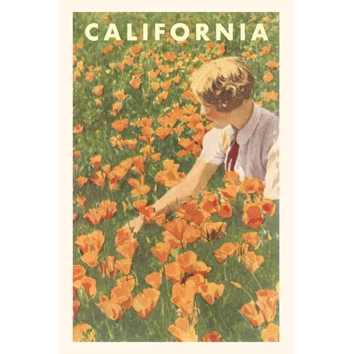 The Vintage Journal Woman sitting in Field of California Poppies - Paperback