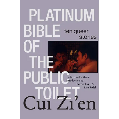 Platinum Bible of the Public Toilet: Ten Queer Stories - Paperback