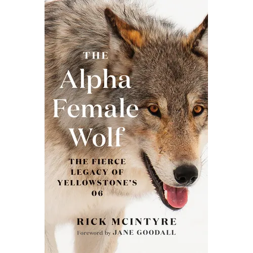 The Alpha Female Wolf: The Fierce Legacy of Yellowstone's 06 - Paperback